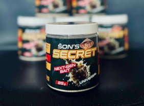 Son's Secret