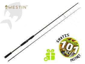 W2 Finesse Shad 270cm H 12-38g