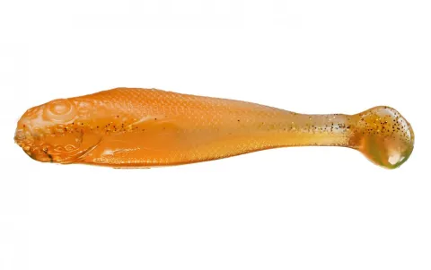 Realistic Shad Jazgarz 9cm J9 032