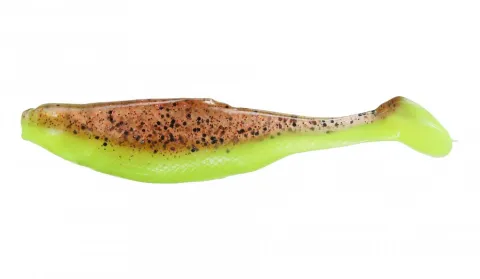 Realistic Shad Płoć 12cm P12 001