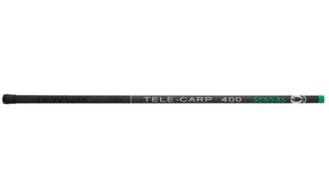 Sztyca Tele Carp 300cm