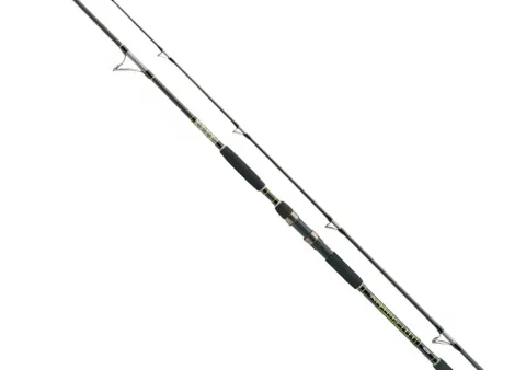 Wędka Jaxon Antris Hti Catfish 3.15m 500g