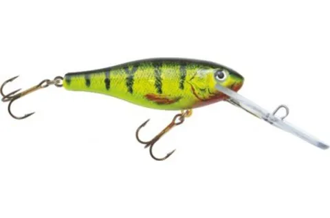SHAD DR 8CM 002