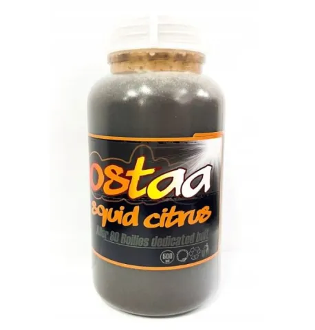 Aller Boosta Squid Citrus 500 ml