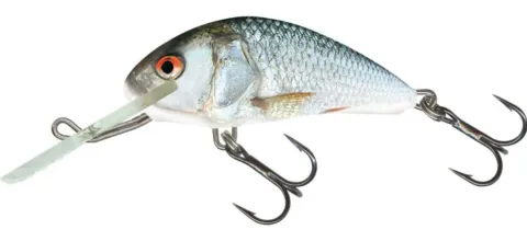Salmo Hornet Real Dace Fl 3.5cm