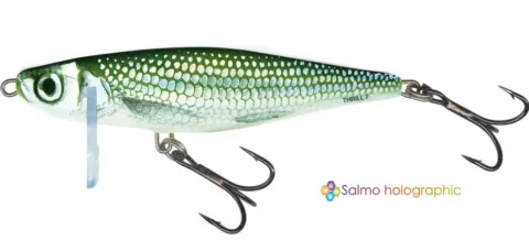 Salmo Thrill Holo Bleak Sink 5cm