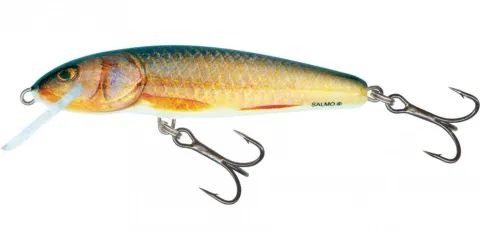 Salmo Minnow Real Roach Fl 6cm — zdjęcie 2