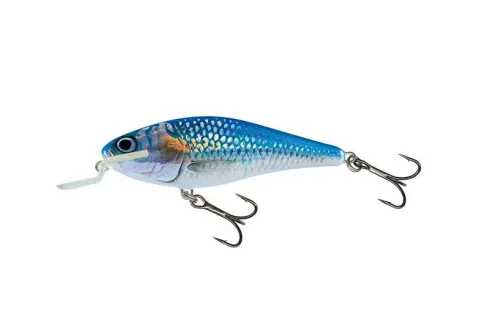 Executor SHR 9cm HOLO SHINER