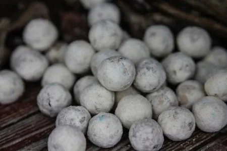 Meus Spectrum rum & kokos 18mm 1kg