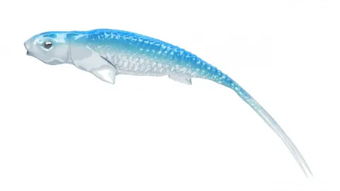 Jaskółka SYRENA Vert 20cm Milicjant