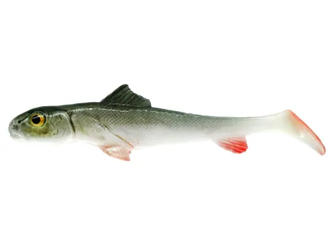 Angry bleak 12CM