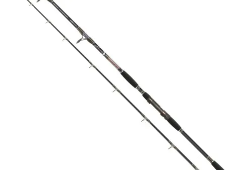 Windflash CATFISH