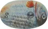 STYLE NR.3  6G 28