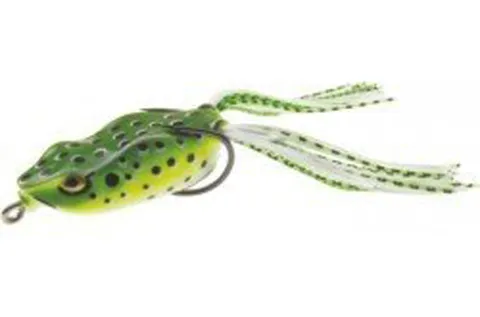 Frog II 02