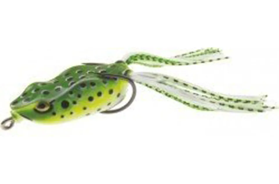 Frog II 02