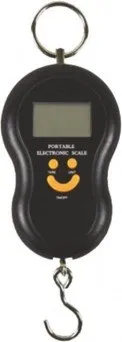 Waga elektroniczna