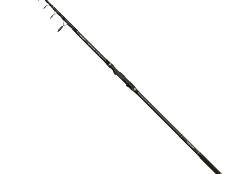 LAMBERTA CARP