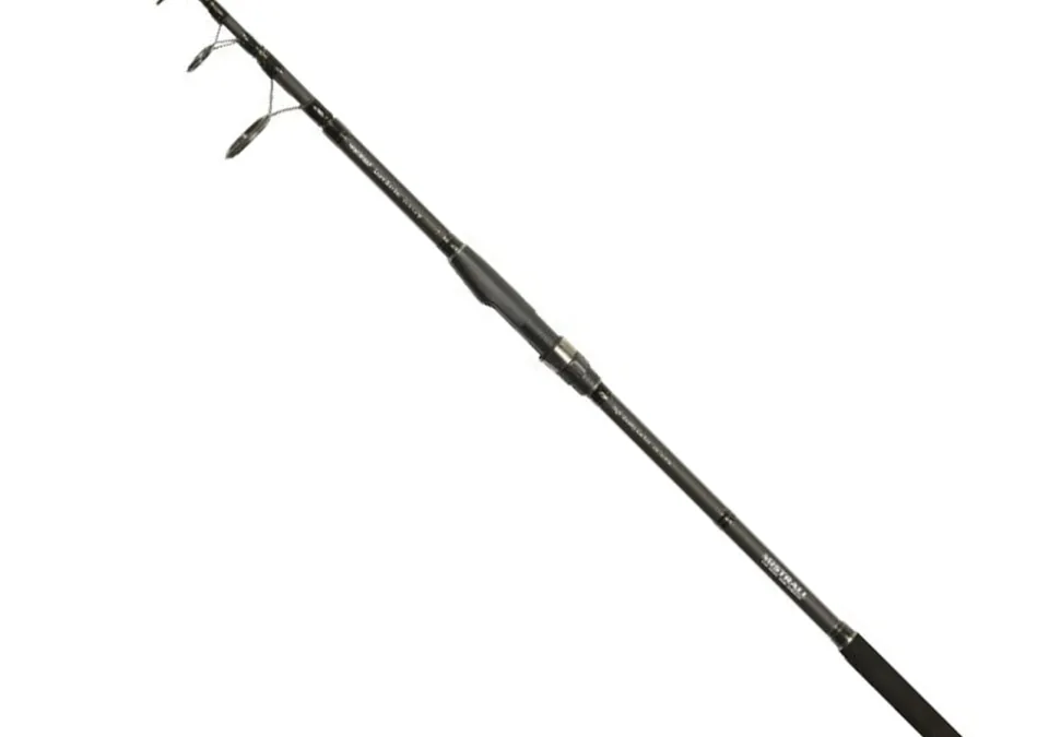 Lamberta Tele Carp