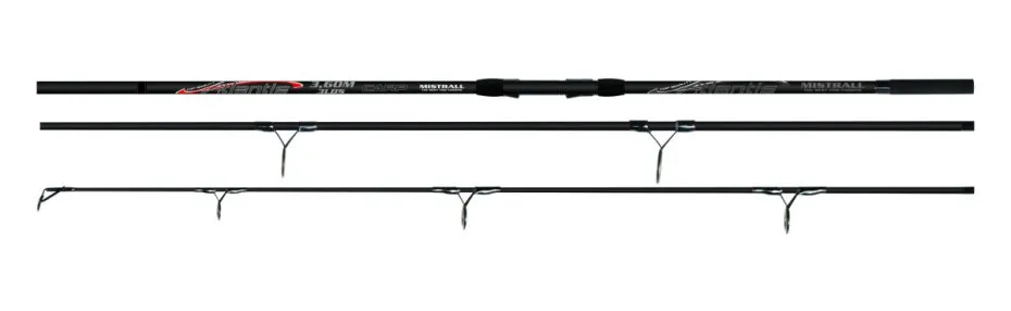 ATLANTIS CARP