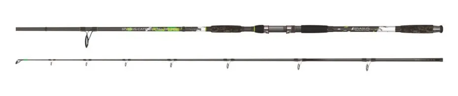 BRAVER CATFISH