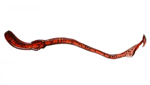 Orka Twisting Worms 7cm DR