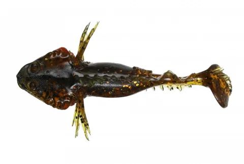 Orka Bulhead 7cm BR — zdjęcie 2