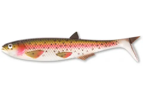 Quantum Yolo Pike Shad rainbow trout 22cm