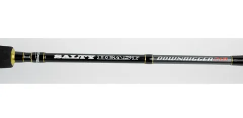 Wędka Spro Saltybeast Downrigger inline 255. 2.55m 10-25lb — zdjęcie 2