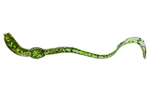Orka Twisting Worms 7cm G
