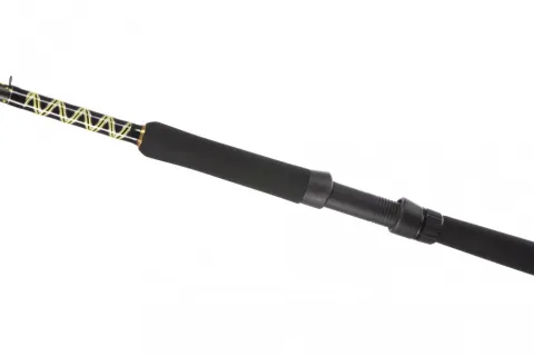 Passion Pro DX 3.00m 600g — zdjęcie 2