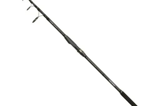 LAMBERTA CARP