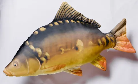 Gaby Poduszka Karp gigant