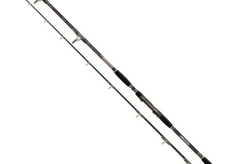 Lamberta Catfish