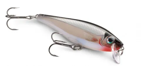 BX MINNOW