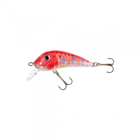Holo Select Senso HS SENSO 4 F EC