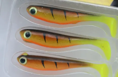 Przynęta gumowa Berkley Sneakshad Hot Yellow Perch 2in 6szt — zdjęcie 2