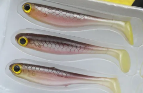 Przynęta gumowa Berkley Sneakshad Wagasaki 2in 6szt — zdjęcie 2