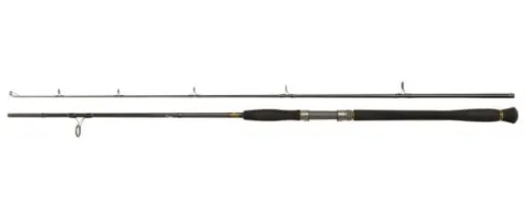 Wędka sumowa Penn LEGION CAT GOLD Spin 245 50 - 175g