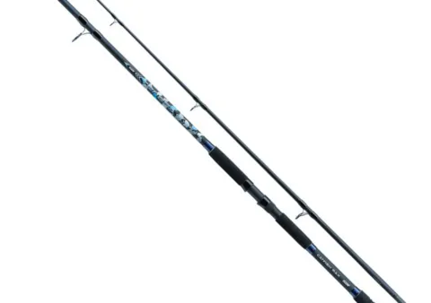 Wędka Jaxon Tenesa Catfish Max 3.00m 450g