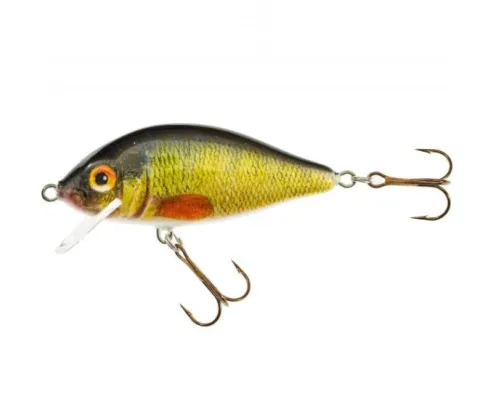 Hs Karaś Uv 8cm 13g Pływający Fpg