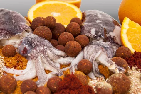 Top Range Series Tangy Squid 18mm 1kg — zdjęcie 2