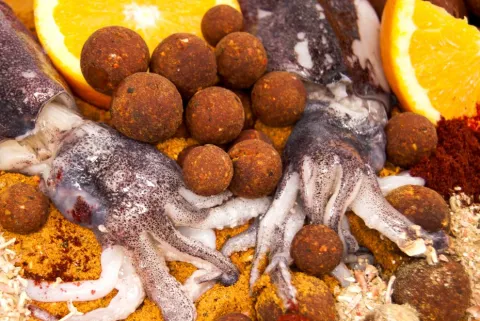 Top Range Series Tangy Squid 18mm 1kg — zdjęcie 3