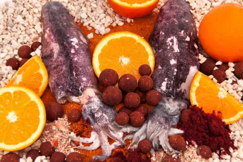 Top Range Series Tangy Squid 18mm 1kg — zdjęcie 4