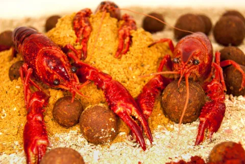 Top Range Series Monster Crayfish 18mm 1kg — zdjęcie 3