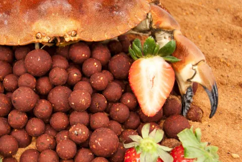 Top Range Series Monster C rab Strawberry 18mm 1kg — zdjęcie 2
