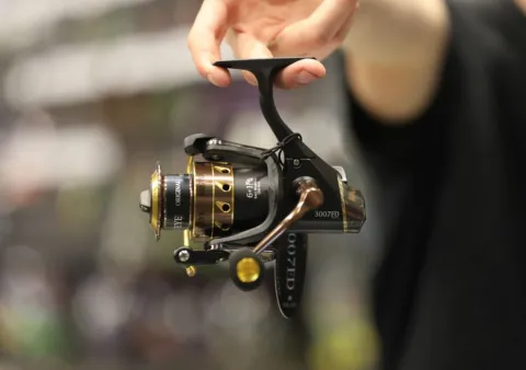 GOLDEN EYE 3007 FD (BZS) — zdjęcie 2