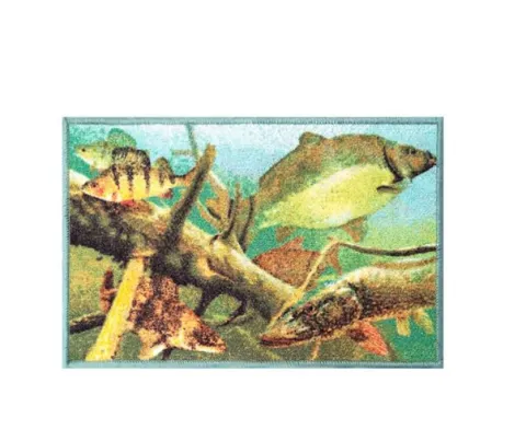 Wycieraczka AQUA 60x40cm