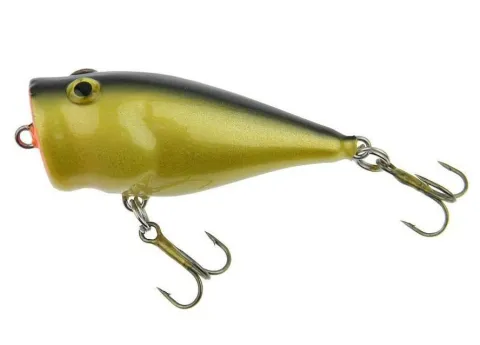 SPLASH POP 8 CM G