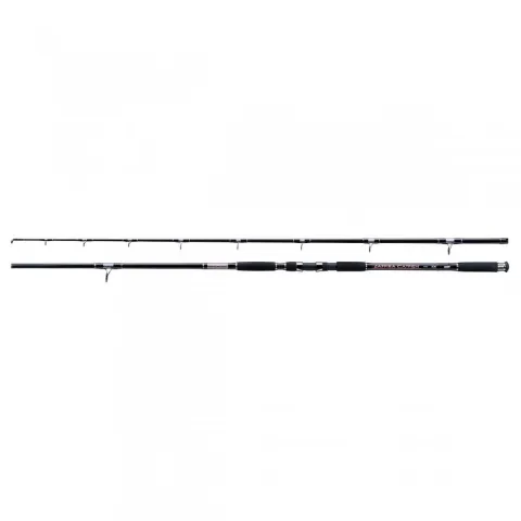 Wędka Jaxon Zaffira Catfish Rt 3.00m 550g
