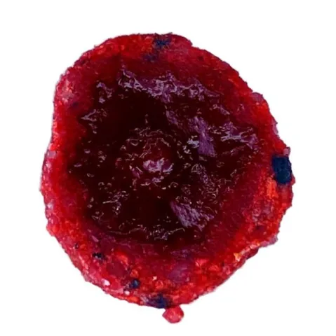 LK CUC! RAISIN 50g Wild Strawberry